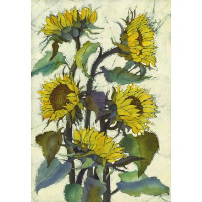 No.756 Sunflower - signed print.